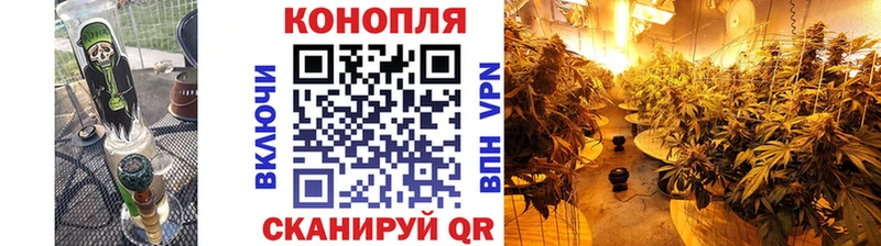 Марихуана семена Нижнеудинск